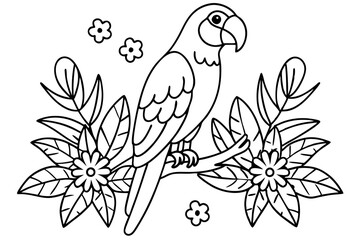 black and white bird