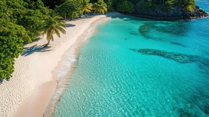 Aerial View of Tropical Beach with Clear Blue Water