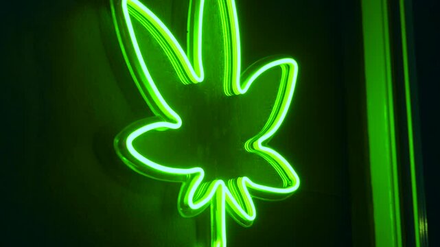 Close up of neon green marijuana leaf logo glowing on the wall of cannabis shop on the street at night. Legalization for medical and recreational use