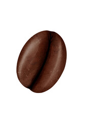 Isolated Brown watercolour coffee bean illustration on transparent background 