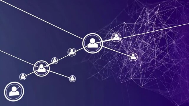 social network connection