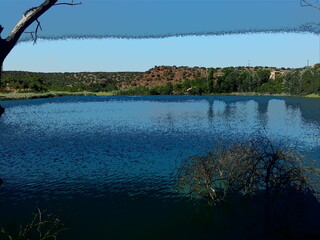Laguna al atardecer