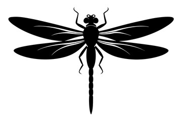 dragonfly silhouette vector illustration