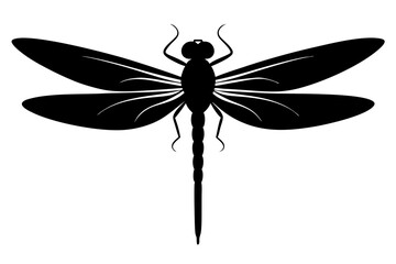 dragonfly silhouette vector illustration