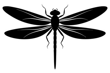 dragonfly silhouette vector illustration