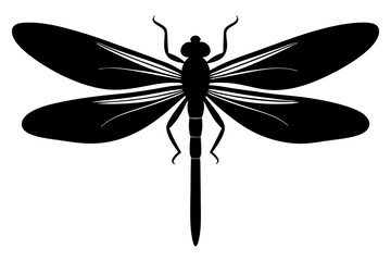 dragonfly silhouette vector illustration