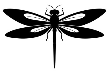 dragonfly silhouette vector illustration