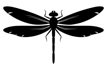 dragonfly silhouette vector illustration