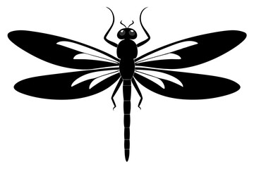 dragonfly silhouette vector illustration