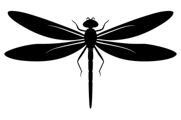 dragonfly silhouette vector illustration
