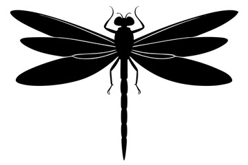 dragonfly silhouette vector illustration