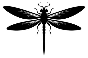 dragonfly silhouette vector illustration