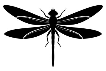 dragonfly silhouette vector illustration