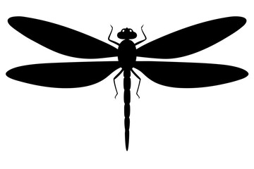 dragonfly silhouette vector illustration