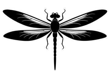 dragonfly silhouette vector illustration