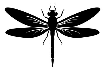 dragonfly silhouette vector illustration