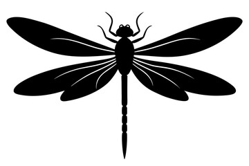 dragonfly silhouette vector illustration