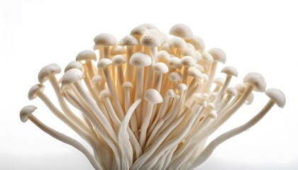 Enoki Mushrooms