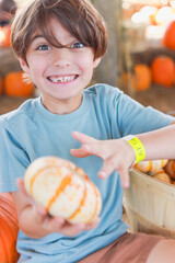 Fototapeta premium Young Boy Enjoying Pumpkin Patch at Southern Hill Farms in Orlando, Florida – Family Fall Fun