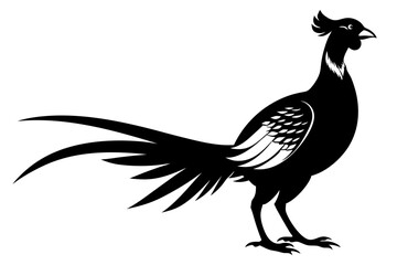 pheasant vector silhouette vector illustration