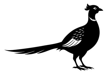 pheasant vector silhouette vector illustration