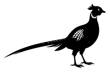 pheasant vector silhouette vector illustration