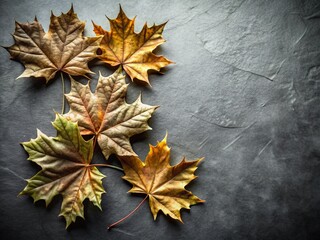 Golden Autumn Maple Leaves on Black Background - Minimalist Fall Decor Banner