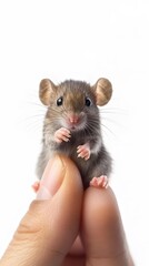 Obraz premium Cute Miniature Baby Mouse on Palm and Fingertip, Photo Realistic, Texture, Pattern Background, Wallpaper, Cover and Screen for Smartphone, PC, Laptop, 9:16 and 16:9 Format