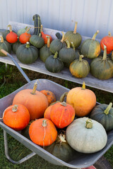 The metallic cart with pumpkins fills the scene with warm light and bright colors