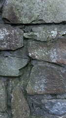 Textured stone wall close-up detailing various rock formations and their natural colors