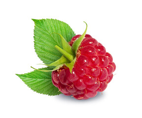 raspberry with leaves