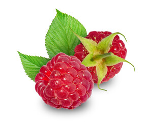 raspberry with leaves