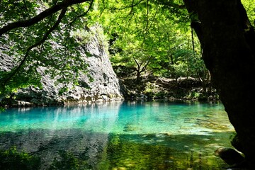 Naklejka premium Shallow part of the river Vikos with crystal clear turquoise water surrounded by green bushes and trees at the bottom of the Vikos Gorge in Greece in the province of Epirus, hiking in Greece