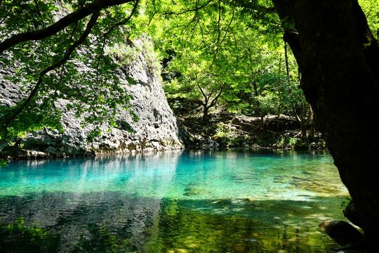 Shallow part of the river Vikos with crystal clear turquoise water surrounded by green bushes and trees at the bottom of the Vikos Gorge in Greece in the province of Epirus, hiking in Greece