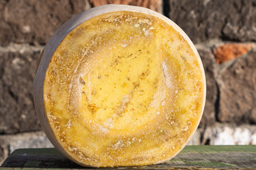 Kars Gruyere Cheese (Gravyer Peyniri) Photo, Bogatepe Kars, Turkiye (Turkey)
