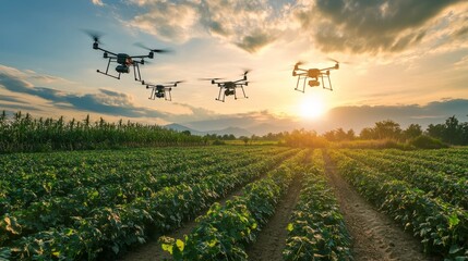 A field monitored by a drone fleet, capturing crop data autonomously as part of a smart farming operation.