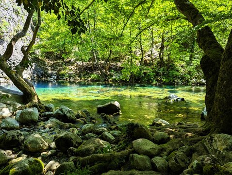 Shallow part of the river Vikos with crystal clear turquoise water surrounded by green bushes and trees at the bottom of the Vikos Gorge in Greece in the province of Epirus, hiking in Greece