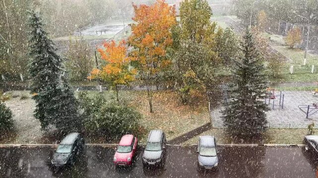  first snow  viewing from window