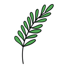 Hand drawn cartoon branch with green leaves on white background.