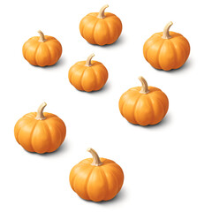 Autumn Harvest A cluster of six miniature pumpkins, bursting with fall color, arranged in a simple yet elegant design.