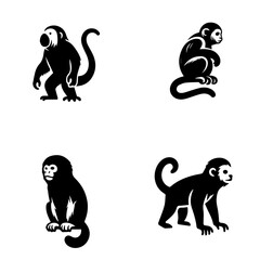 uakari, icon, vector illustration on white background