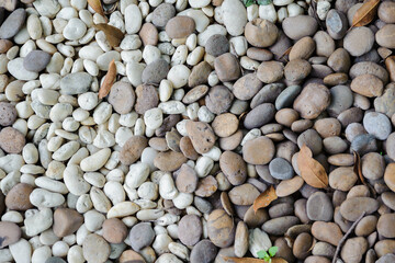 Colorful small pebbles or stone texture in garden