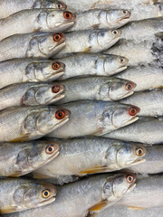 Fresh seafood on ice at the fish market,Fresh fish lies on ice in a supermarket., Fourfinger threadfin 