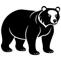 bear illustration