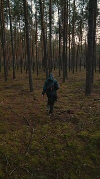 Walking in the woods. Hiking in the forest. A man in a raincoat walks through the forest. A man walks through an autumn forest. 