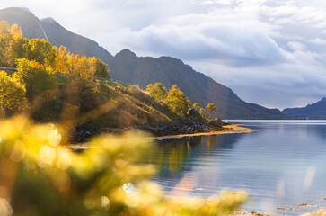 Beautiful autumn landscape of fjords in Lofoten islands, Norway. Synny day in arctic fall. Seasonal scenery of Scandinavia, Northern Europe.