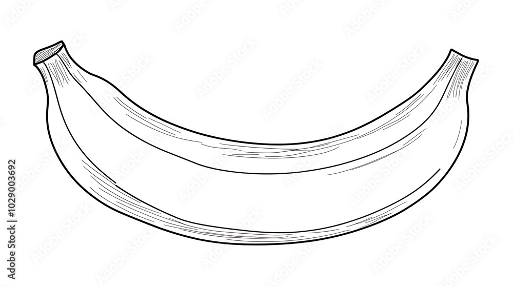 Poster sketch banana hand drawn illustration waves design vector blue light curve backdrop pattern color ar