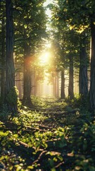 Fototapeta premium Peaceful forest with sunlight filtering through the trees, 4K hyperrealistic photo