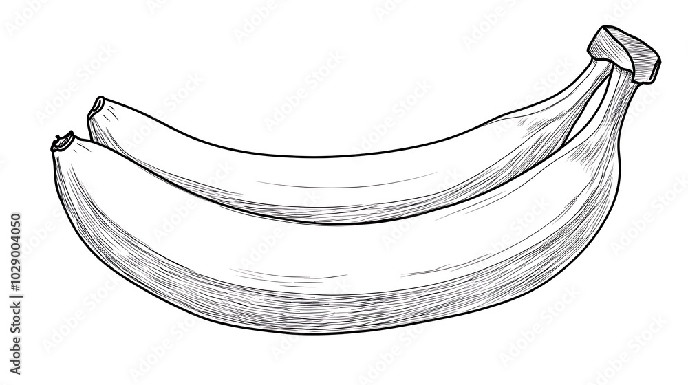 Poster sketch banana hand drawn illustration waves design vector blue light curve backdrop pattern color ar