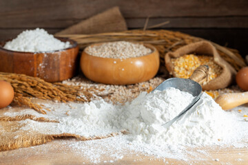 Rice flour, white wheat flour With ears of rice, natural agricultural food, top view